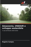 Amazzonia, UNASUR e sviluppo sostenibile