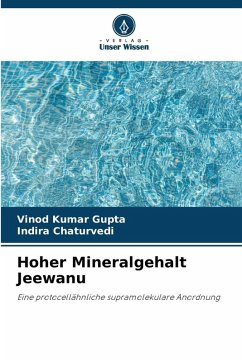 Cover Hoher Mineralgehalt Jeewanu