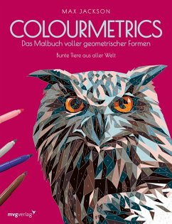 Cover Colourmetrics - Das Malbuch voller geometrischer Formen