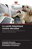 La santé hépatique canine décodée La santé hépatique canine décodée