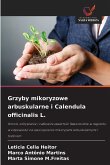 Grzyby mikoryzowe arbuskularne i Calendula officinalis L. Grzyby mikoryzowe arbuskularne i Calendula officinalis L.