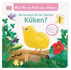 Cover Mein Pop-up-Buch zum Staunen. Wo kommst du her, kleines Küken?