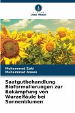 Saatgutbehandlung Bioformulierungen zur Bekämpfung von Wurzelfäule bei Sonnenblumen