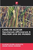 CANA-DE-AÇÚCAR Saccharum officinarum A MELHOR UVA DO MUNDO