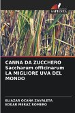 CANNA DA ZUCCHERO Saccharum officinarum LA MIGLIORE UVA DEL MONDO