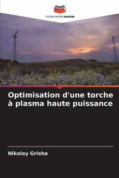 Optimisation d'une torche à plasma haute puissance - Grisha, Nikolay