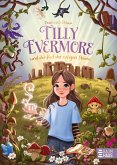 Tilly Evermore und der Ruf der ewigen Steine Tilly Evermore und der Ruf der ewigen Steine