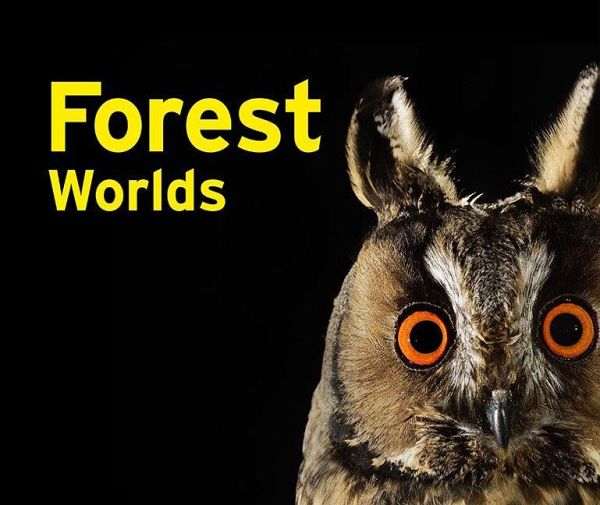 Forest Worlds Forest Worlds