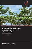Cudowne drzewo ajurwedy