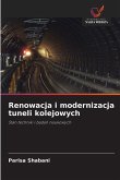 Renowacja i modernizacja tuneli kolejowych