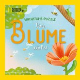 Eine Blume wächst Eine Blume wächst