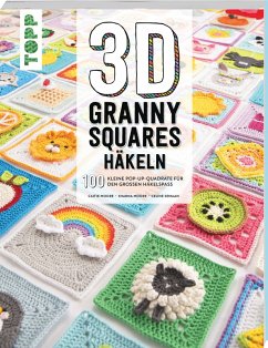 Cover 3D Granny Squares häkeln