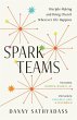 Spark Teams - Bild 1