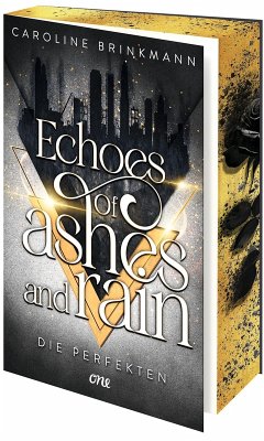 Echoes of Ashes and Rain - Die Perfekten - Brinkmann, Caroline