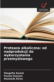 Proteaza alkaliczna: od nadprodukcji do wykorzystania przemys¿owego