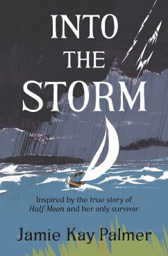 Cover Into the Storm