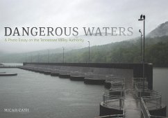 Cover Dangerous Waters (eBook, ePUB)