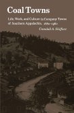 Coal Towns (eBook, ePUB)
