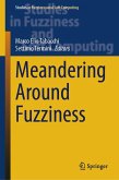 Meandering Around Fuzziness (eBook, PDF)