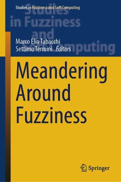 Meandering Around Fuzziness (eBook, PDF)