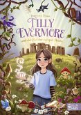Tilly Evermore und der Ruf der ewigen Steine (eBook, ePUB)