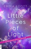 Castle Hill Academy - Little Pieces of Light (eBook, ePUB)