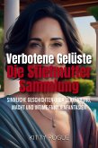 Verbotene Gelüste - Die Stiefmutter-Sammlung (eBook, ePUB)