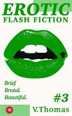 Erotic Flash Fiction #3 (eBook, ePUB)