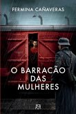O Barracão das Mulheres (eBook, ePUB)