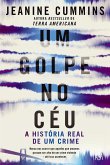 Um Golpe no Céu (eBook, ePUB)