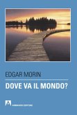 Dove va il mondo? (eBook, ePUB)