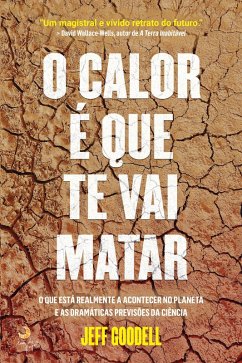 Cover O Calor é Que Te Vai Matar (eBook, ePUB)