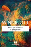 Sviluppo affettivo e ambiente (eBook, ePUB)