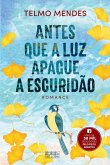 Antes que a Luz Apague a Escuridão (eBook, ePUB)