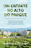 Um Enfarte no Alto do Parque (eBook, ePUB)