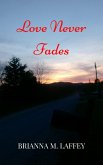 Love Never Fades (Amethyst Falls, #3) (eBook, ePUB)