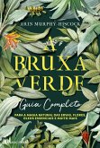 A Bruxa Verde (eBook, ePUB)