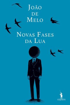 Cover Novas Fases da Lua. Diário (2017-2024) (eBook, ePUB)