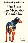 Um Cão no Meio do Caminho (eBook, ePUB)