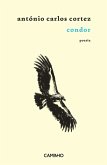 Condor (eBook, ePUB)