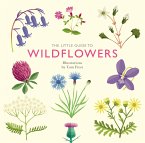 The Little Guide to Wildflowers (eBook, ePUB)
