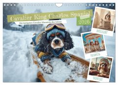 Cavalier King Charles Spaniel. Die lustigsten Cavalier Momente des Jahres. (Wandkalender 2026 DIN A4 quer), CALVENDO Monatskalender Cavalier King Charles Spaniel. Die lustigsten Cavalier Momente des Jahres. (Wandkalender 2026 DIN A4 quer), CALVENDO Monatskalender