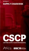 Supply Chain Risk (eBook, ePUB)