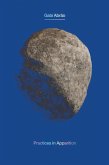 Practices in Apparition (eBook, ePUB)