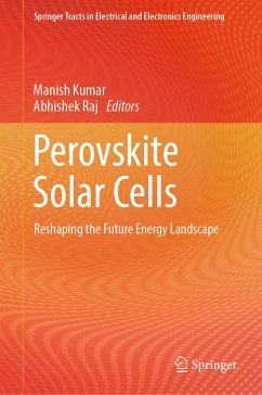Cover Perovskite Solar Cells (eBook, PDF)