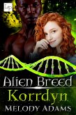 Korrdyn (eBook, ePUB)