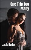 One Trip Too Many (eBook, ePUB)