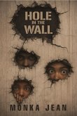 HOLE IN THE WALL (eBook, ePUB)