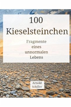 100 Kieselsteinchen (eBook, ePUB) - Schiller, Arnold