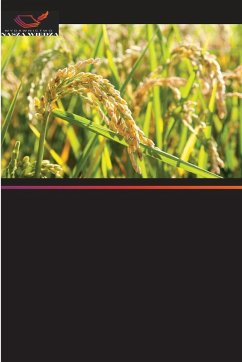 Cover Badania nad d¿ugotrwa¿ym stosowaniem herbicydów w systemie uprawy ry¿u i pszenicy